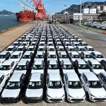 chinesehybrids