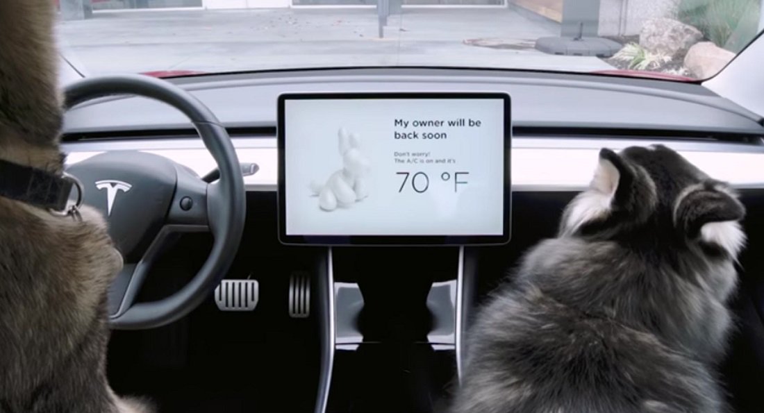 f720a60c-tesla-dog-mode